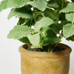 Artificial Potted Mint Leaf - Threshold™ Designed With Studio McGee 7 Artificial Potted Mint Leaf - Threshold™ Designed With Studio McGee -Threshold GUEST 19a08200 78b7 461e bcd9 c962450d4305