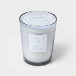 Colored Vase Glass With Dustcover Rainwater Lily Candle Gray - Threshold™ -Threshold GUEST 1a738ead 7e7a 4f46 b4ff 79439b3488d0