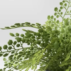 Small Fern In Modern Pot Maiden Hair Arrangement - Threshold™ 6 Small Fern In Modern Pot Maiden Hair Arrangement - Threshold™ -Threshold GUEST 1de5448c 826d 45b4 9ee7 b8e0ec6c3f1d
