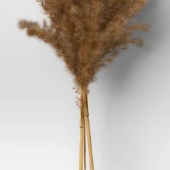 Pampas Grass Bundle - Threshold™ 7 Pampas Grass Bundle - Threshold™ -Threshold GUEST 26edef61 6665 4adf 8950 0f1ca68295ab