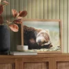 20" X 16" Bear Photography Framed Art Brown - Threshold™ 2 20" X 16" Bear Photography Framed Art Brown - Threshold™ -Threshold GUEST 3517e61a d5f0 4c54 bc45 14e5e4e062d4