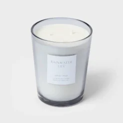 Colored Vase Glass With Dustcover Rainwater Lily Candle Gray - Threshold™ -Threshold GUEST 4dd3a894 6c80 4248 a2de 93743bf8dee9