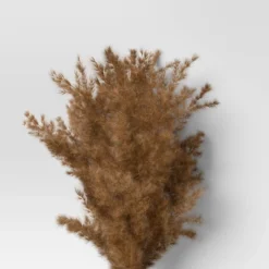 Pampas Grass Bundle - Threshold™ 6 Pampas Grass Bundle - Threshold™ -Threshold GUEST 508108e8 4c81 4946 b427 ae9cac46da62