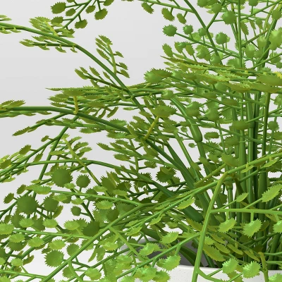 Large Fern In Modern Pot Artificial Hair Arrangement - Threshold™ 4 Large Fern In Modern Pot Artificial Hair Arrangement - Threshold™ - Image 2