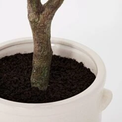 76.5"x 30" Artificial Olive Tree In Ceramic Pot - Threshold™ Designed With Studio McGee 7 76.5"x 30" Artificial Olive Tree In Ceramic Pot - Threshold™ Designed With Studio McGee -Threshold GUEST 5f1c0b63 d965 4bfb 9559 6084dae15f92