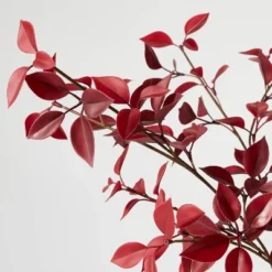 Eucalyptus Leaf Arrangement Burgundy - Threshold™ Designed With Studio McGee 5 Eucalyptus Leaf Arrangement Burgundy - Threshold™ Designed With Studio McGee -Threshold GUEST a17c1855 0816 4405 996c 2cb03582a5c1