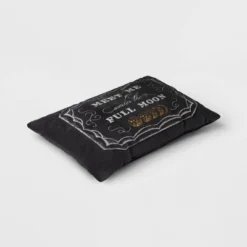 Lumbar Full Moon Pillow - Threshold™ -Threshold GUEST a8f6c5d7 d097 418e be40 afe227df5e24