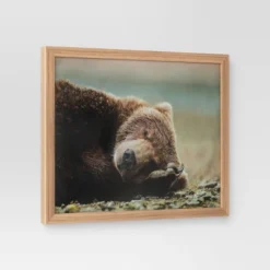 20" X 16" Bear Photography Framed Art Brown - Threshold™ -Threshold GUEST bdd5f4cc 4d39 4967 a892 83937e1fe495