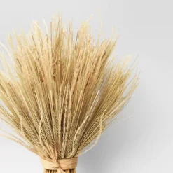 Fall Grass Standing Bundle - Threshold™ 6 Fall Grass Standing Bundle - Threshold™ -Threshold GUEST c103519e 556f 4239 ad88 469ef01f233a
