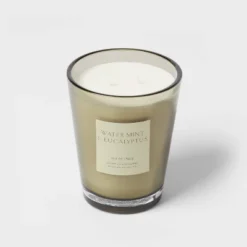 Colored Vase Glass With Dustcover Watermint And Eucalyptus Candle Green - Threshold™ -Threshold GUEST c7ced8f8 1486 4167 bf53 4e77271a3df4