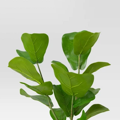 Large Fiddle Leaf Potted - Threshold™ 4 Large Fiddle Leaf Potted - Threshold™ - Image 2