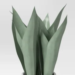 Small Snake Plant In Plant Stand - Threshold™ 6 Small Snake Plant In Plant Stand - Threshold™ -Threshold GUEST eeacf184 3f4d 45d9 823c da5ef92f4ade