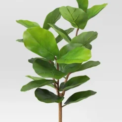 Fiddle Leaf Artificial Tree - Threshold™ 6 Fiddle Leaf Artificial Tree - Threshold™ -Threshold GUEST f0794c82 35ac 4a1f 8942 73de362a6886